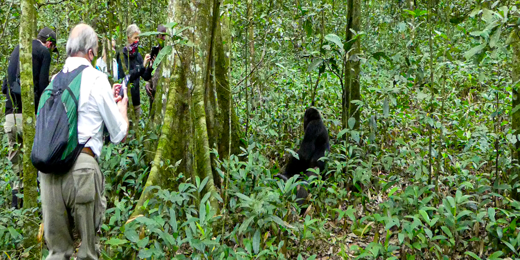 12 days Uganda safari adventure & axienty 12 Days Adventure and anxiety safari