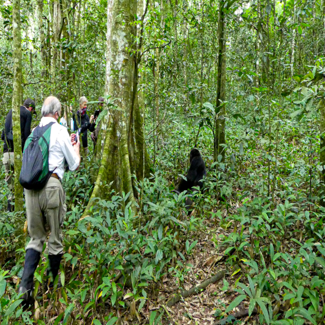 12 days Uganda safari adventure & axienty 12 Days Adventure and anxiety safari