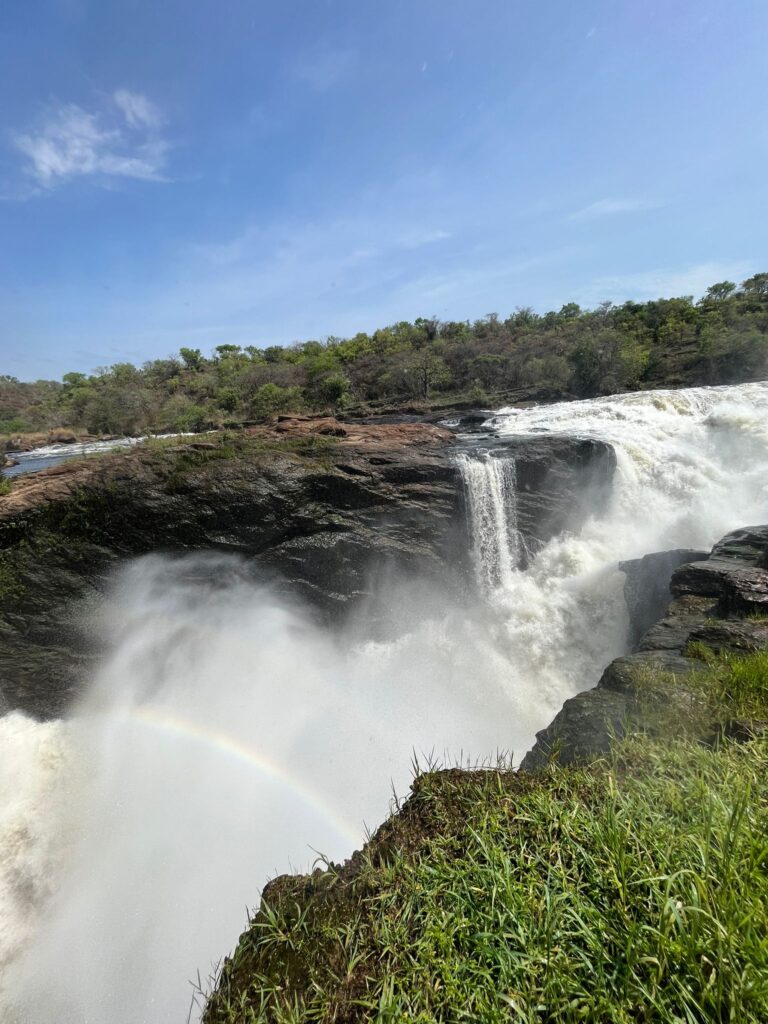 Murchison Falls Entry Fee, Permits & Complete Visitor Guide 2026