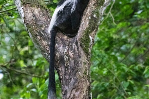 Lake Mburo National Park