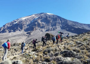 17 days Kilimanjaro and Tanzania safari