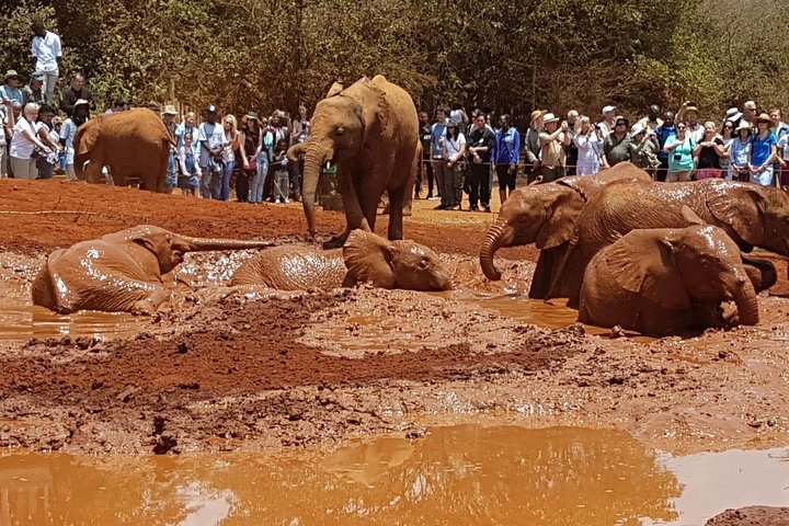 Nairobi City Tour Package