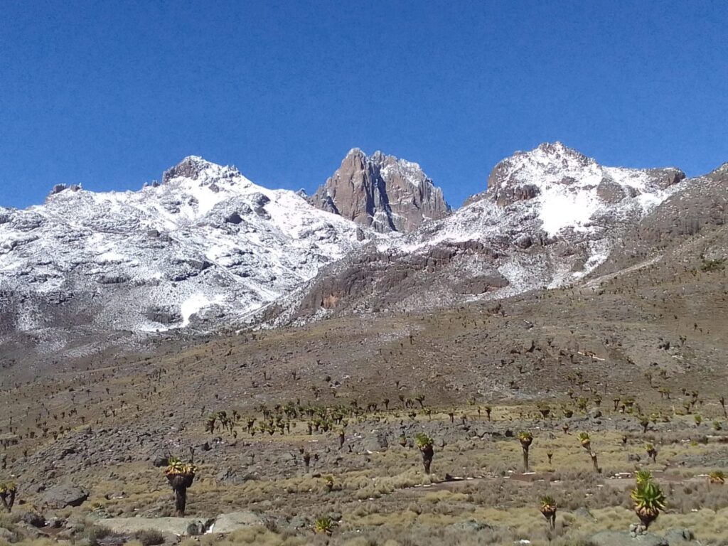 the second zone view during the 4days Mt Kenya trek