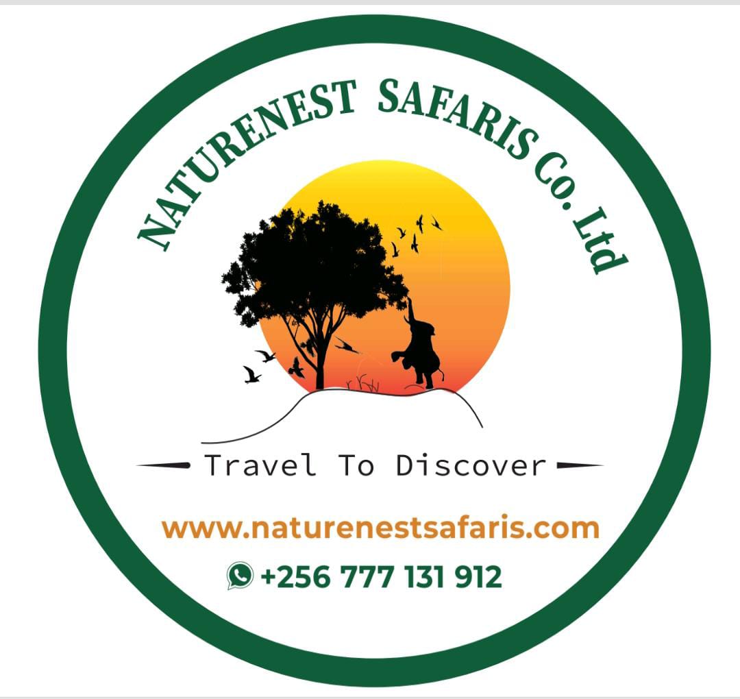 Nature Nest Safaris