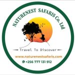 Nature Nest Safaris