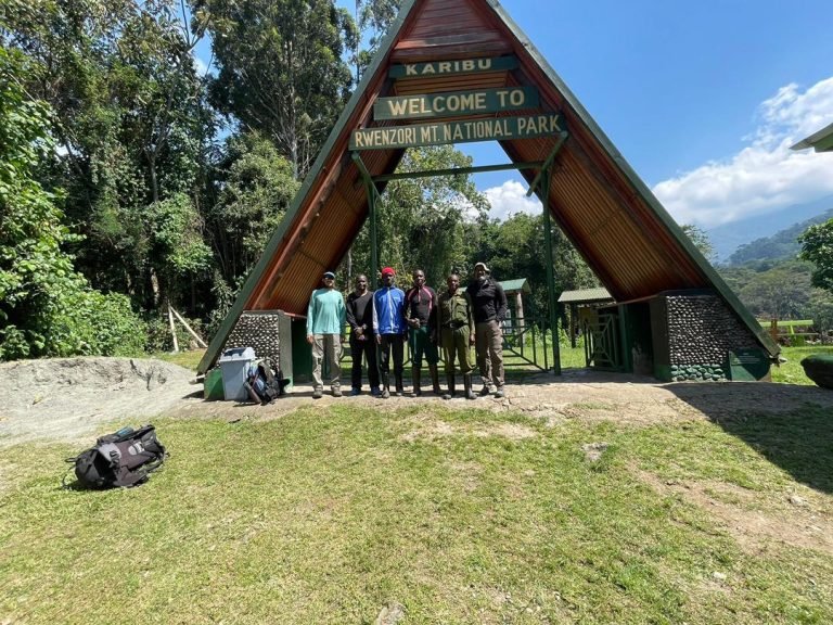 Rwenzori Central Circuit Trek: 6-Day Route & Cost