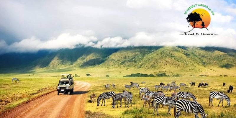 Tanzania safaris Tanzania safaris