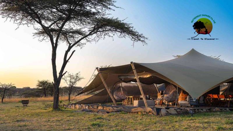 tented luxury safari camps Tanzania