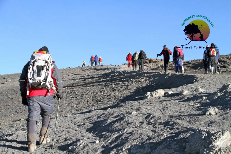 KILIMANJARO CLIMBING SAFARI TO UMBWE ROUTE