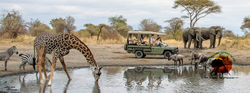 Lake Manyara National Park