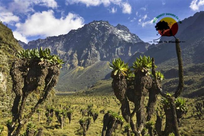 Rwenzori Mountains National Park