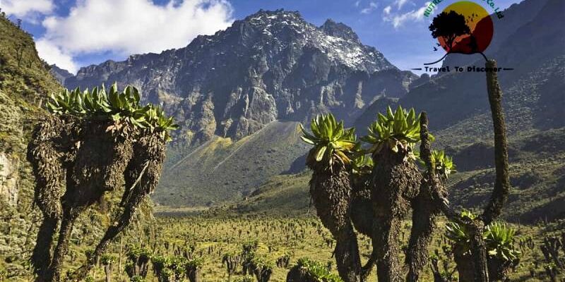 Rwenzori Mountains National Park