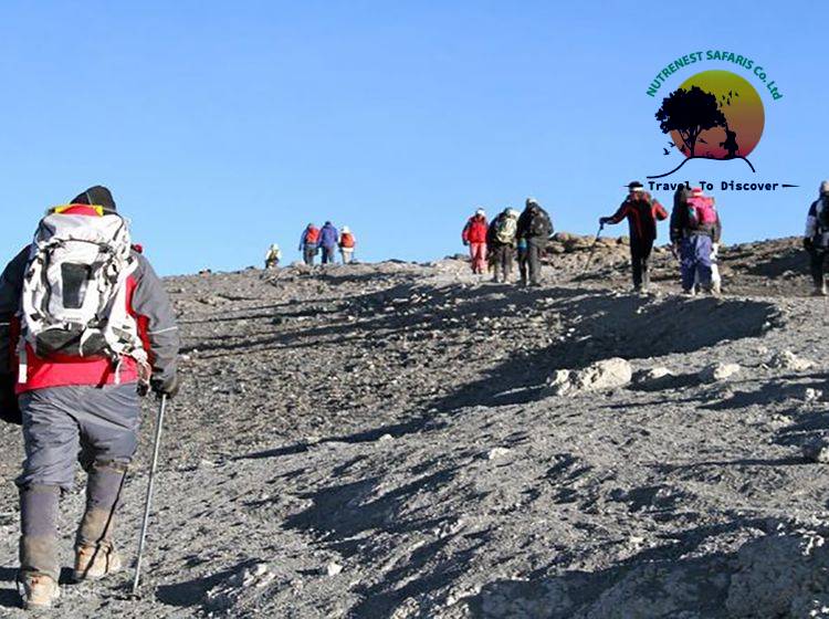 SAFARI TO LEMOSHO ROUTE