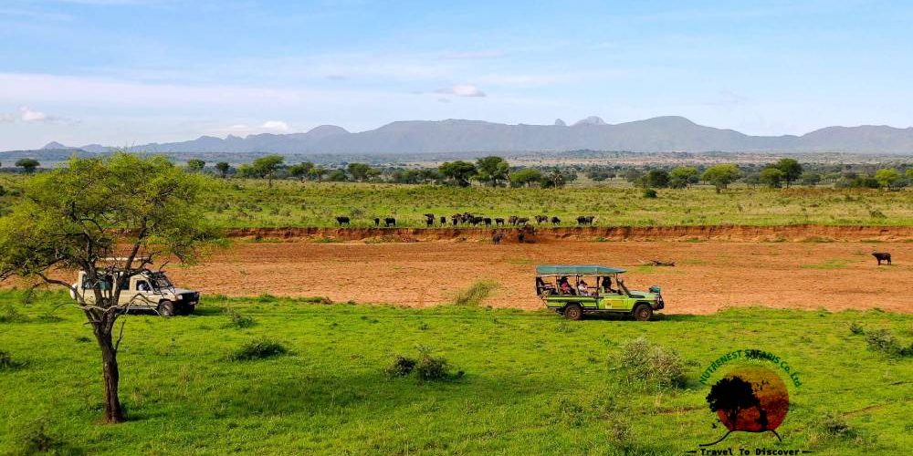 Uganda Wildlife Safaris Uganda Wildlife Safaris