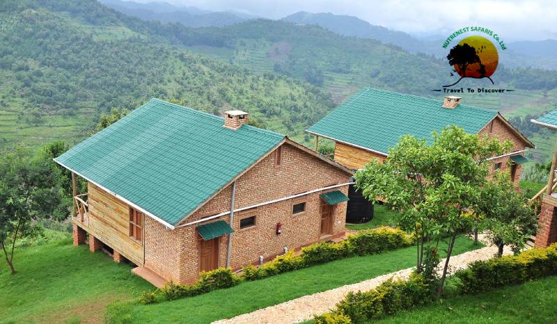 Gorilla Safari Lodge