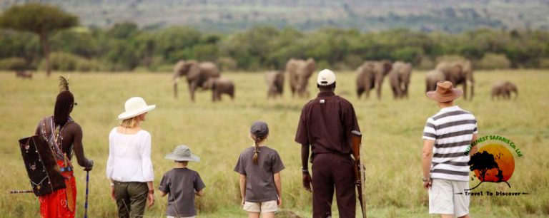 How to Make the Most of Your African Safari Experience