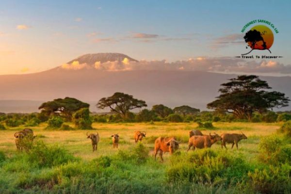 Vacation in Uganda