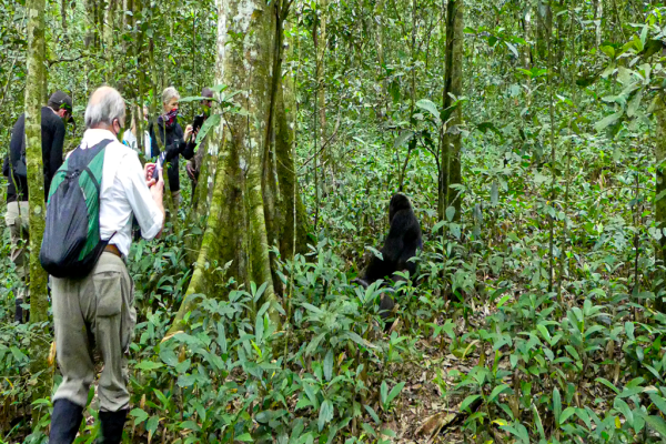 12-days-Uganda-safari-adventure-axienty