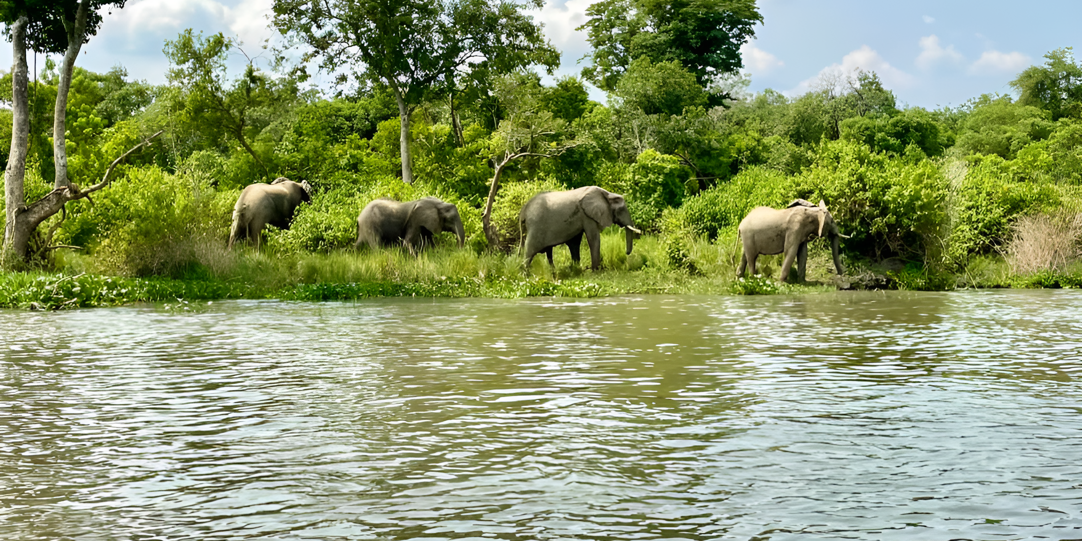 Tanzania Safari 4 Days Selous Safari Game Drive