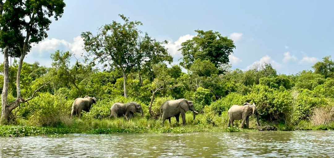 5 Days Northern Tanzania Wildlife Safari