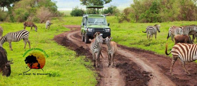 Tanzania safaris packages Tanzania Safaris