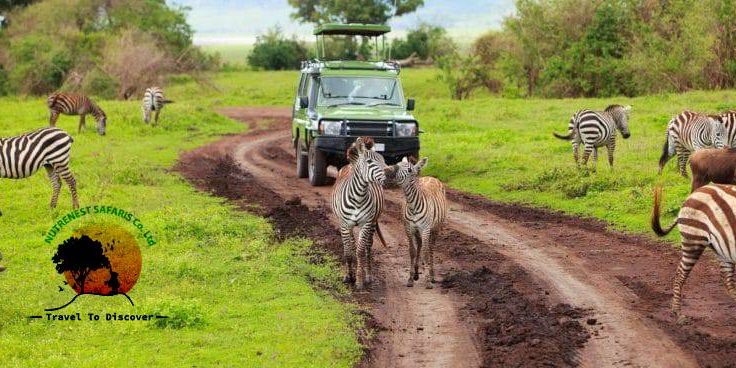 Tanzania safaris packages Tanzania Safaris