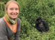 Gorilla trekking