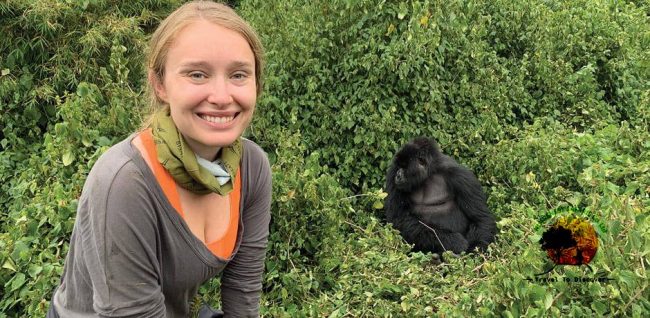 Gorilla trekking Gorilla trekking