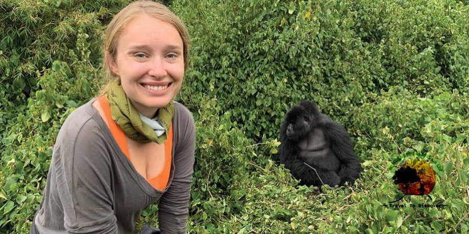 Gorilla trekking Gorilla trekking