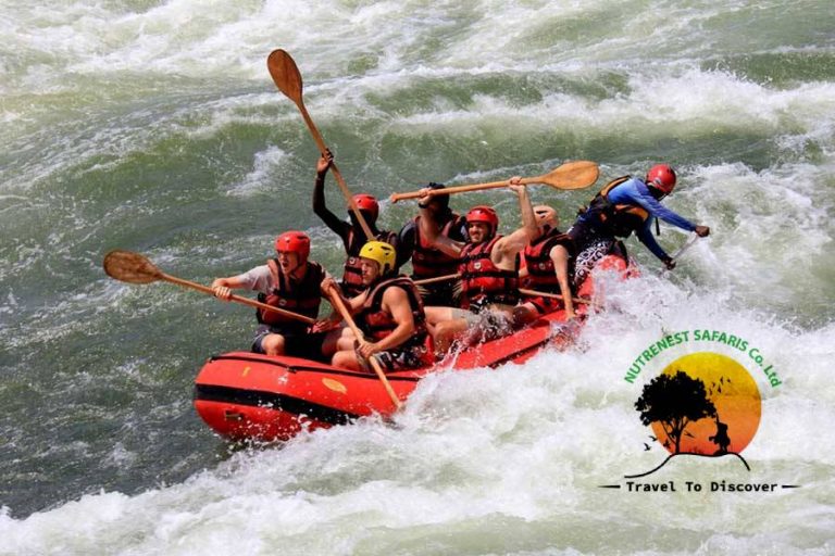 Exploring the Nile: A Thrilling Water Rafting Adventure