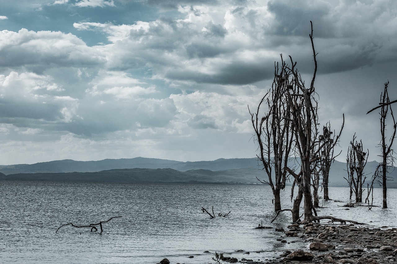 Naivasha