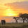 Serengeti-national-park.jpg