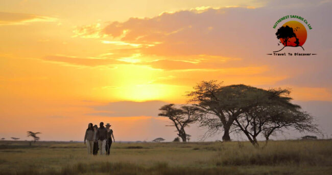 Serengeti-national-park.jpg