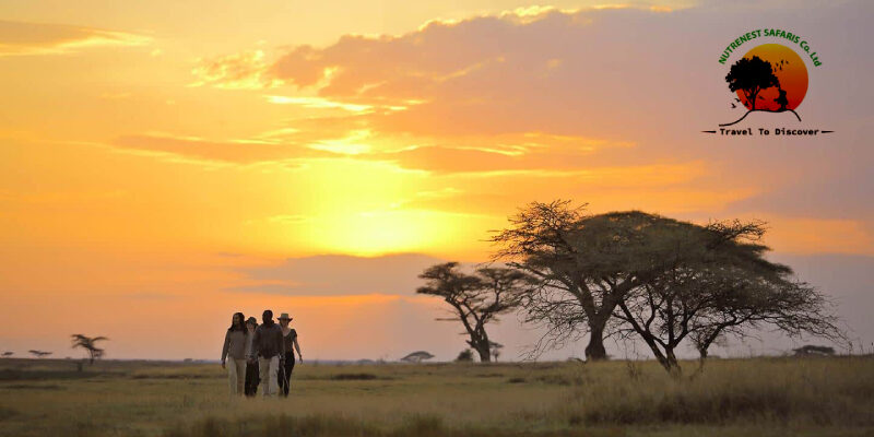 Serengeti-national-park.jpg