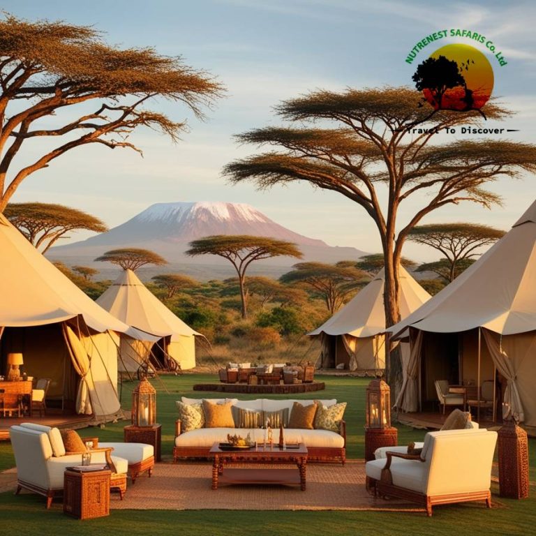 What You Actually Eat on Safari in East Africa: Lodge Meals, Bush Breakfasts and Local Dishes Worth Trying