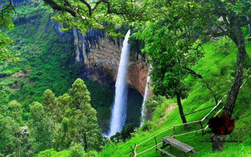 Rich Landscapes