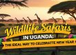 Wildlife Safaris in Uganda