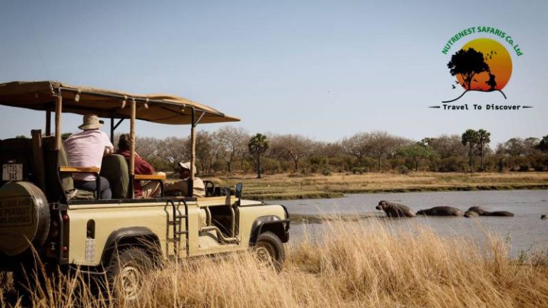 Self-Drive Safari in East Africa 2026: Car Rental, Routes and Everything You Need to Know