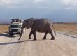 Epic Road Trips