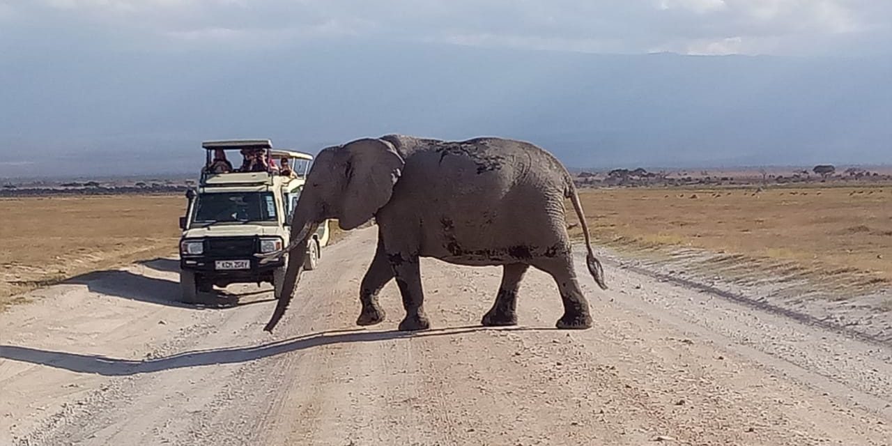 Epic Road Trips Epic Road Trips