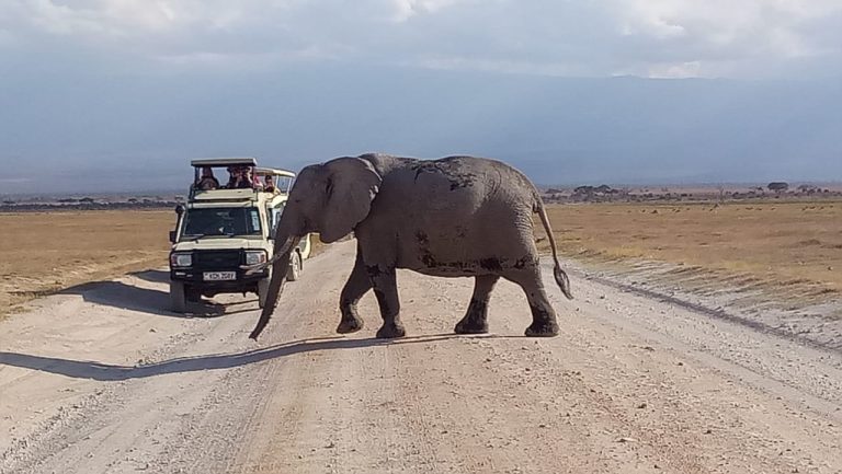 From Sea to Summit: Tanzania’s Most Epic Road Trips