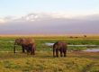 Lake Manyara
