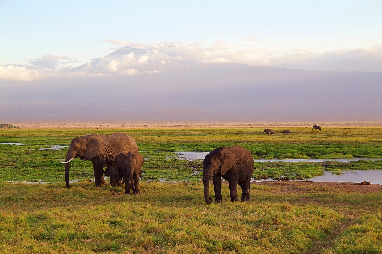 Lake Manyara