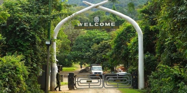 What Can You Expect on Udzungwa Mountains National Park Tours?