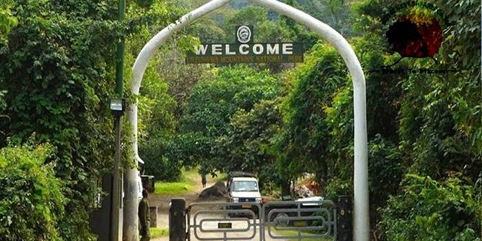 Udzungwa Mountains National Park Udzungwa Mountains National Park