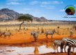 Kenya Wildlife Safari