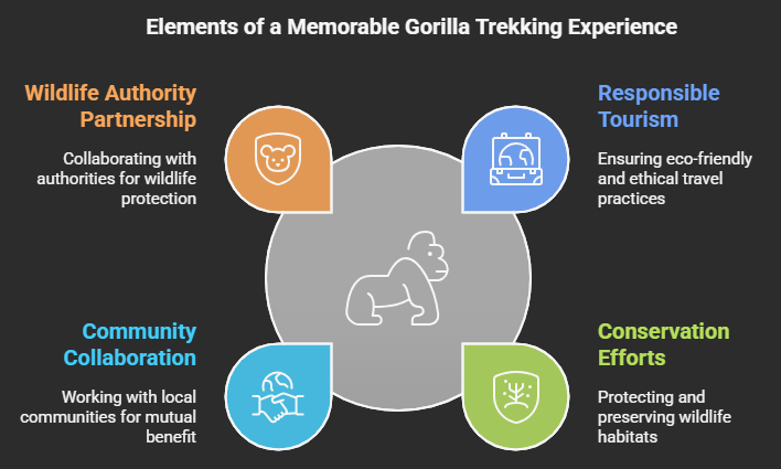 Valuable Tips For You To Make Your Journey Memorable 