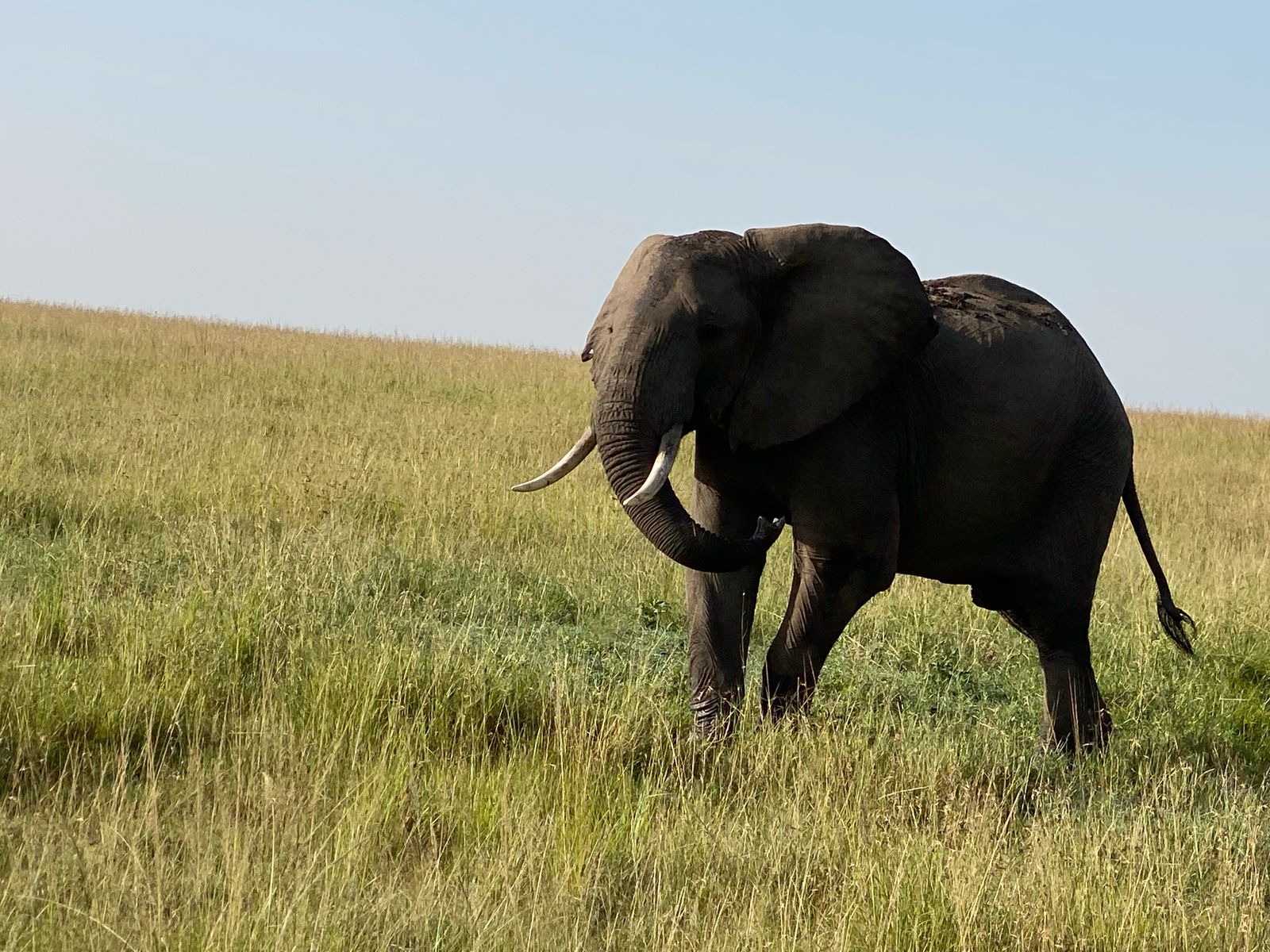 Amboseli National Park