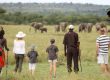 Family Safari Holidays