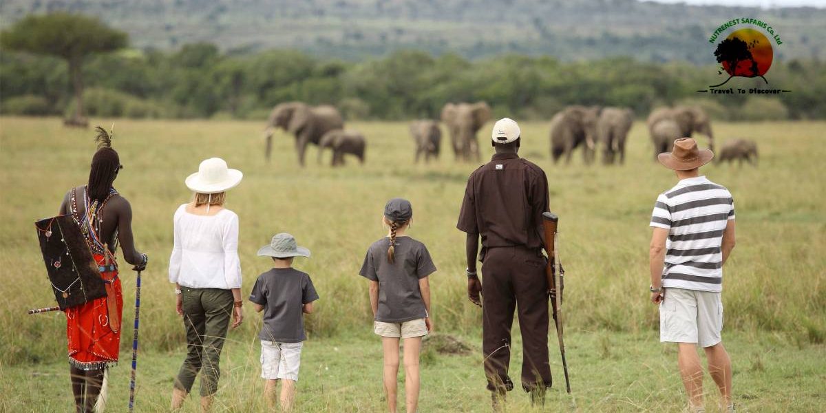 Family Safari Holidays Family Safari Holidays